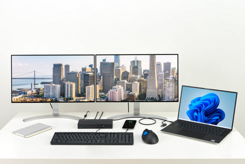SD4781P EQ USB-C® & USB-A Dual 4K Docking Station with 100W Power Delivery
