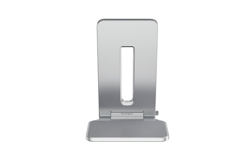 Elevated Stand for Surface