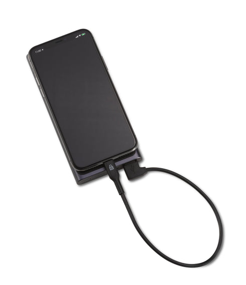 Charge & Sync Lightning Cable (5-pack)