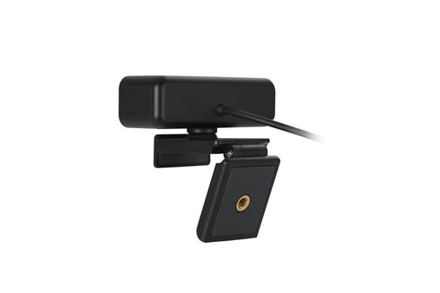 W2050 Pro 1080p Auto Focus Webcam