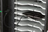 USB-C Charging Cables (10-Pack)